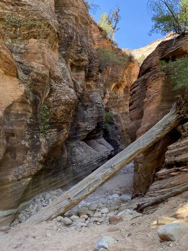 Hike through the short slot canyon