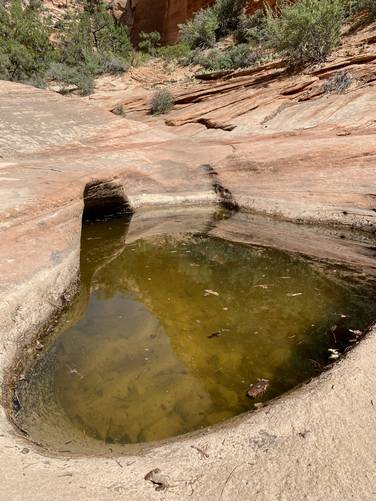 Deep pothole of water at Zion's Many Pools hike