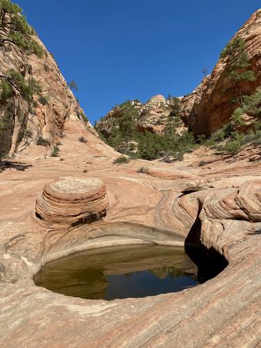 Large pothole of water at Many Pools in Zion National Park