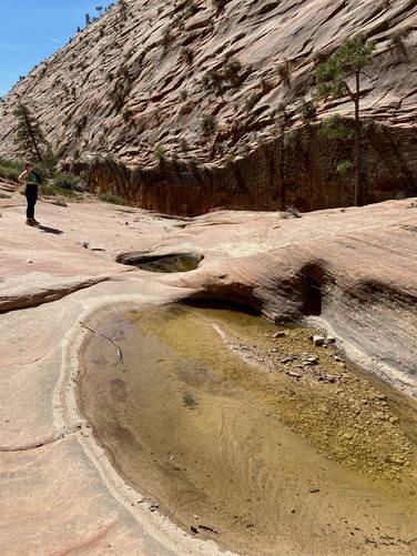Middle pools at Many Pools in Zion National Park (off-trail hike)