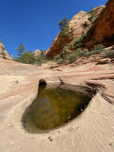 Deep pothole of water at Zion's Many Pools hike