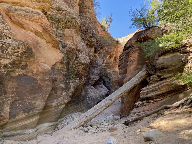 Hike through the short slot canyon