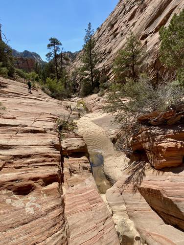 Skinny pool of water at Many Pools hike in Zion