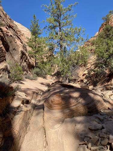 Hiking up the dry wash
