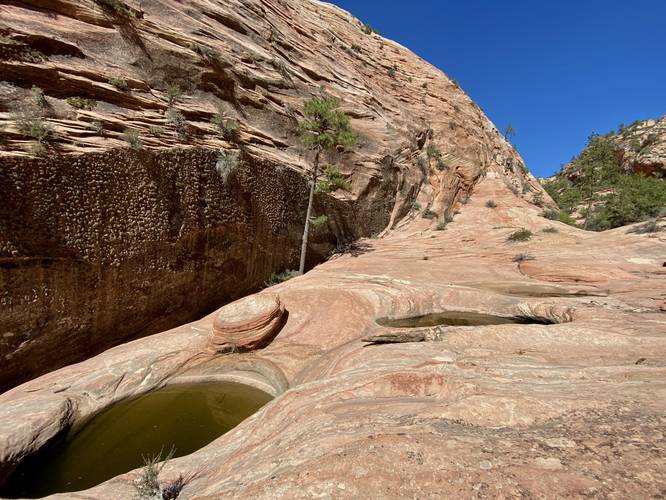 Middle pools at Many Pools in Zion
