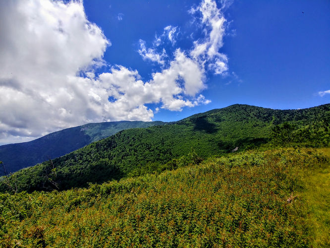 Picture 4 of Maple Camp Bald Hike 070917