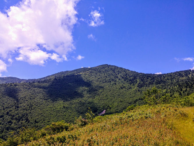 Picture 7 of Maple Camp Bald Hike 070917