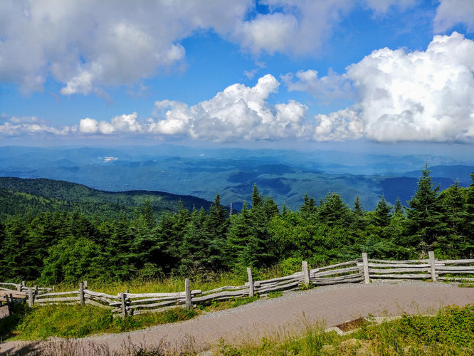 Picture 21 of Maple Camp Bald Hike 070917