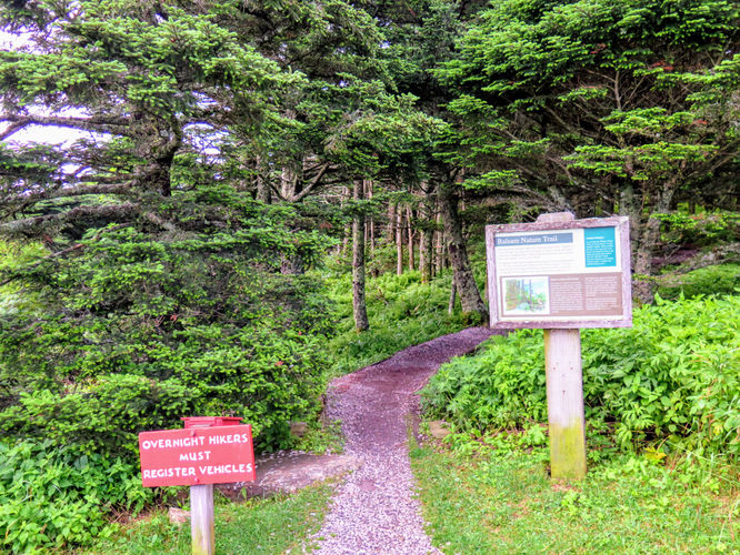 Picture 24 of Maple Camp Bald Hike 070917