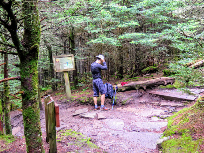Picture 26 of Maple Camp Bald Hike 070917