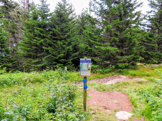 Picture 29 of Maple Camp Bald Hike 070917