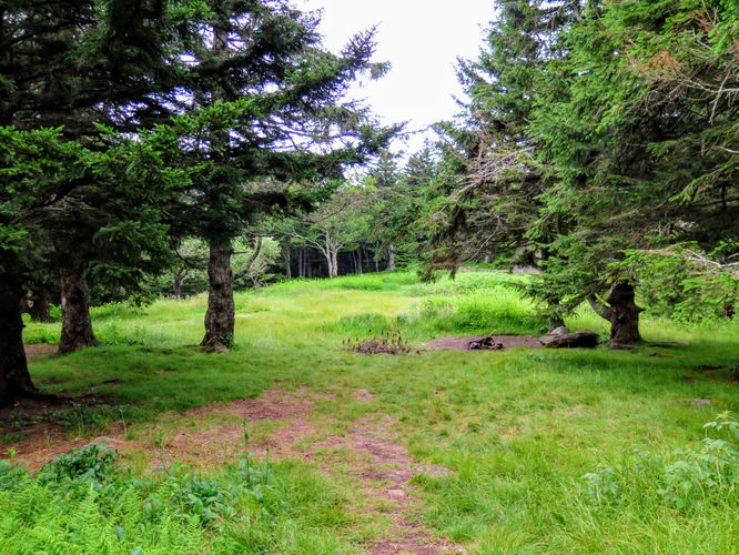 Picture 30 of Maple Camp Bald Hike 070917