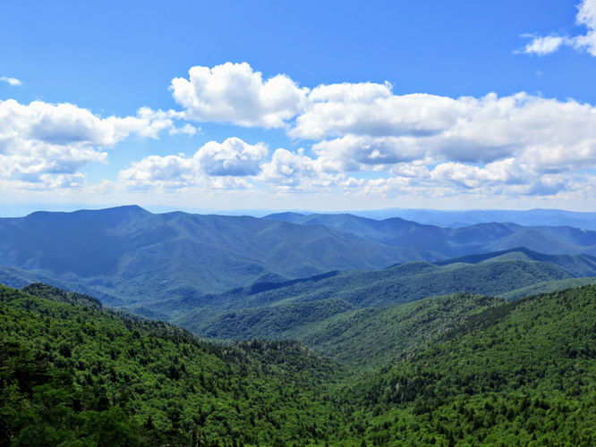 Picture 42 of Maple Camp Bald Hike 070917