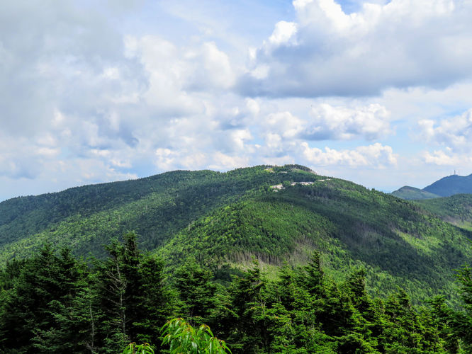 Picture 46 of Maple Camp Bald Hike 070917
