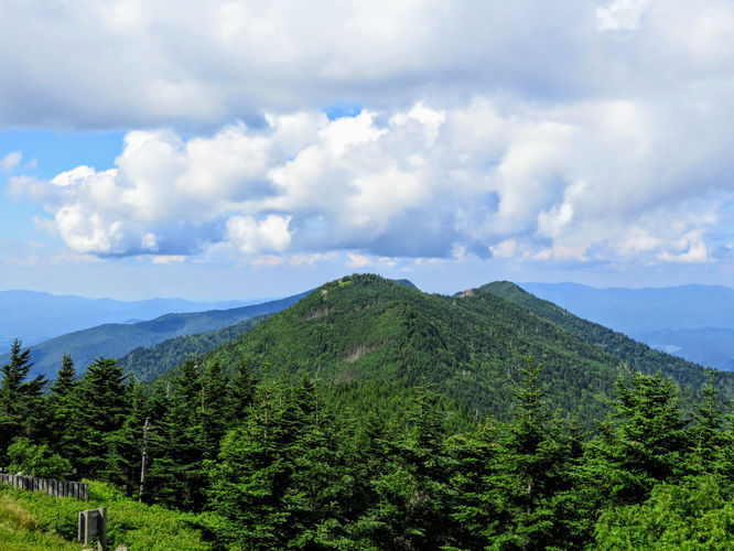 Picture 54 of Maple Camp Bald Hike 070917