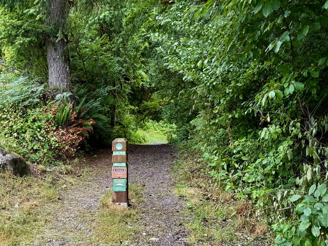 Trailhead to Maple Creek Falls