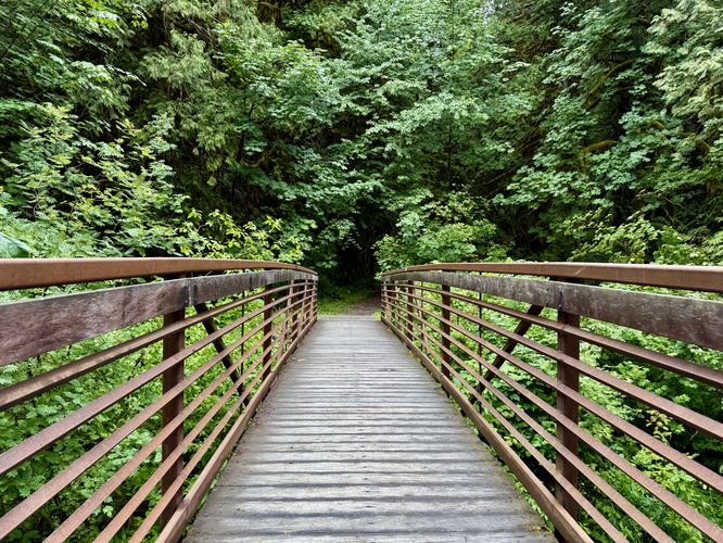 Footbridge spans Maple Creek