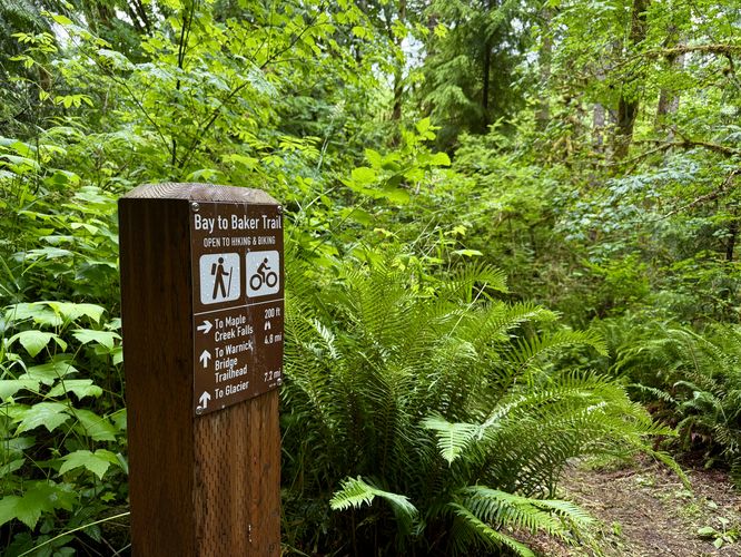 Turn to Maple Creek Falls