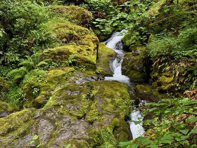 Default image for Maple Creek Falls Hike, a 0.6-mile trail in Maple Falls, WA (US)