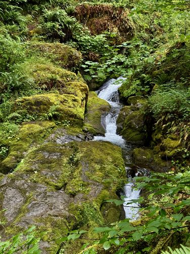 Picture 12 of Maple Creek Falls Hike