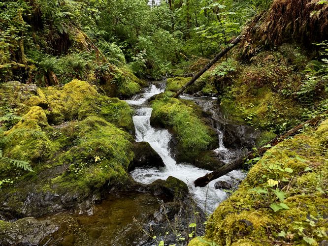 Upper Maple Creek Falls