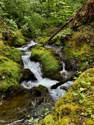 Picture 22 of Maple Creek Falls Hike