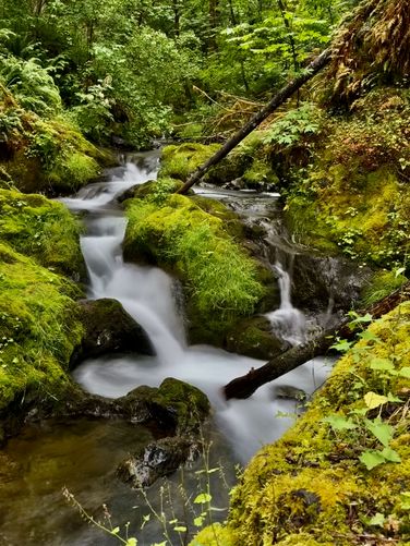 Picture 23 of Maple Creek Falls Hike