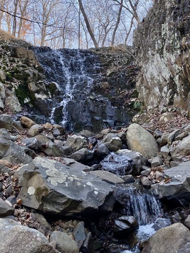 Maple Falls, approx. 30-feet tall