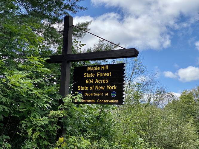 Maple Hill State Forest sign