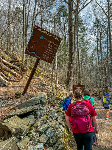 Mt Tammany - Blue to Red - March 16 2024 album