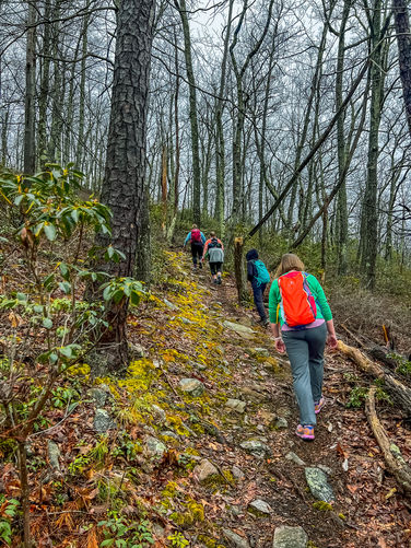 Bald Knob Ridge - March 3 2024 album