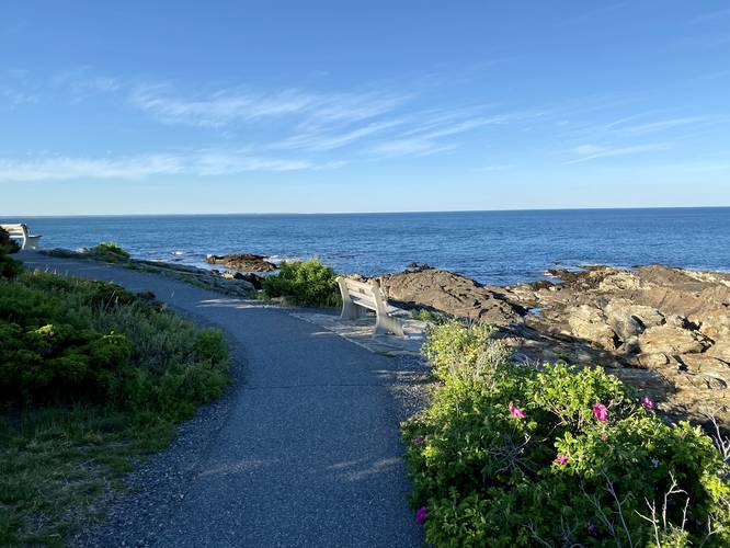 Picture 6 of Marginal Way May 2021