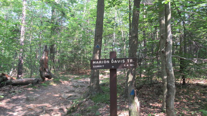 Trail begins to the RIGHT of the trailhead sign