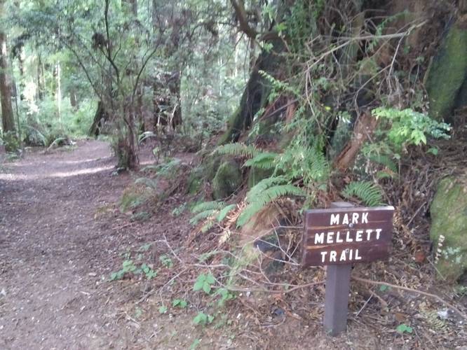 Picture 17 of Mark Merlett Trail