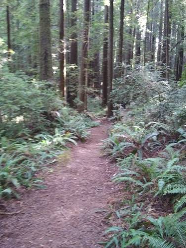 Picture 5 of Mark Merlett Trail