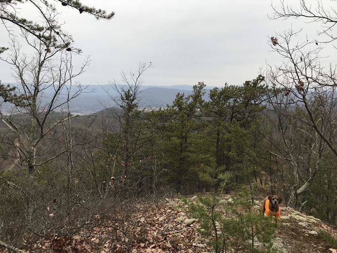 Picture 2 of Marshall Draft Hike 120617
