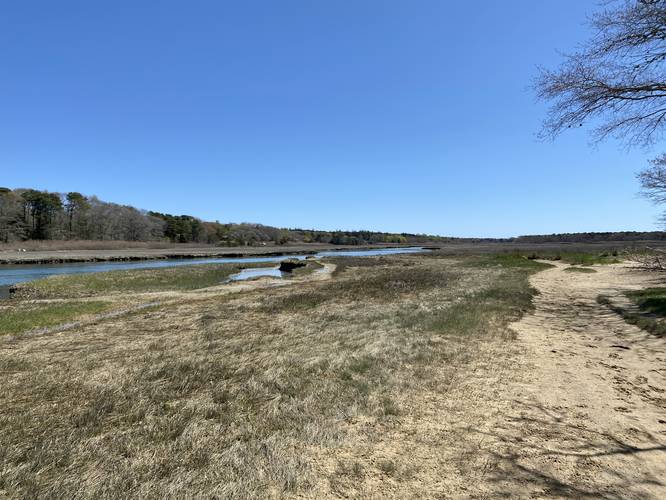 View of Scorton Creek