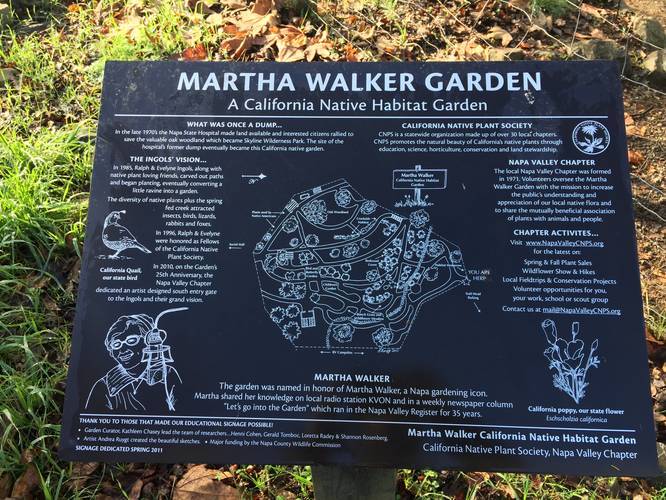 Picture 2 of Martha Walker Garden Loop