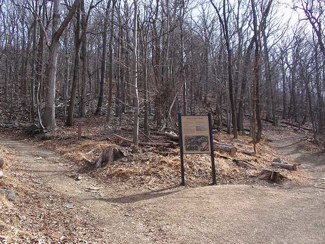 Picture 6 of Maryland Heights Hike 022109