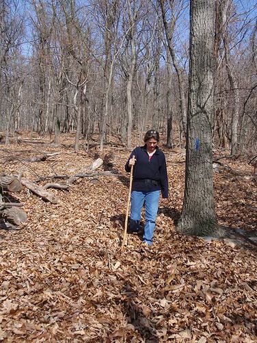 Picture 12 of Maryland Heights Hike 022109