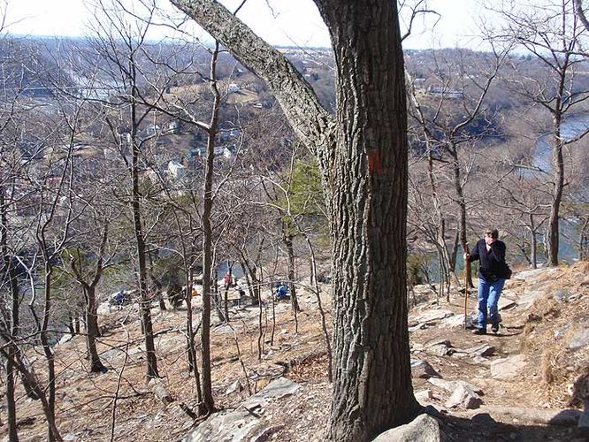Picture 14 of Maryland Heights Hike 022109