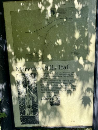 Picture 2 of Marymere Falls Trail