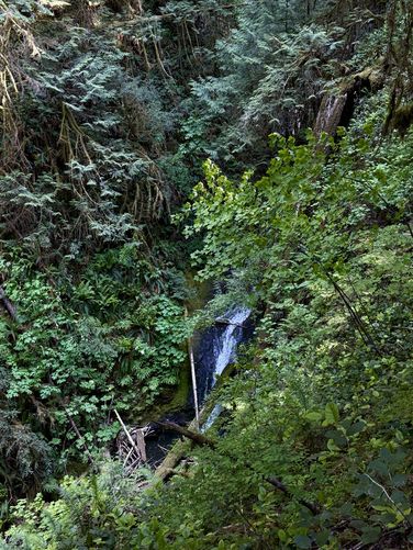 Obstructed view of Middle Marymere Falls from the trail