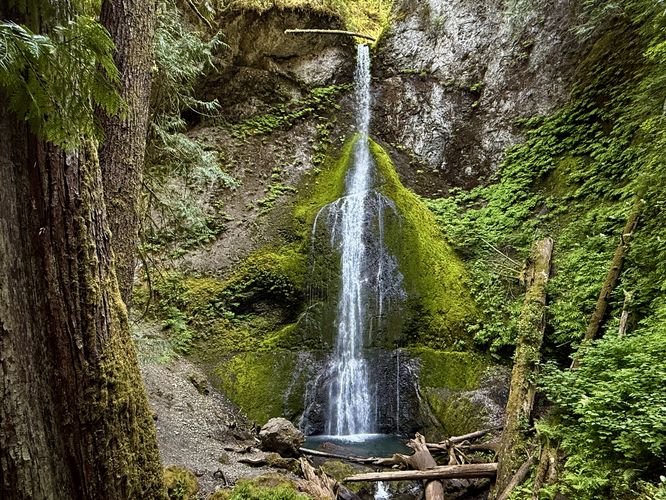 Picture 17 of Marymere Falls Trail