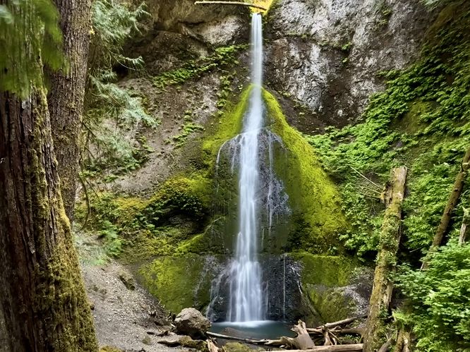 Default image for Marymere Falls Trail, a 1.9-mile trail in Piedmont, WA (US)