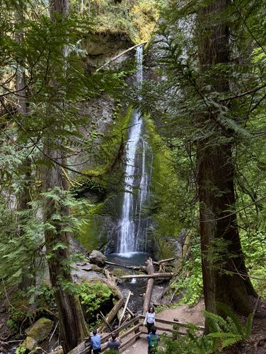 Picture 18 of Marymere Falls Trail