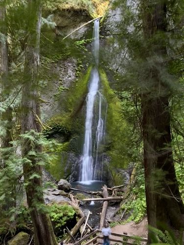 Picture 19 of Marymere Falls Trail