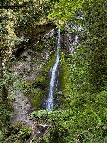 Picture 20 of Marymere Falls Trail