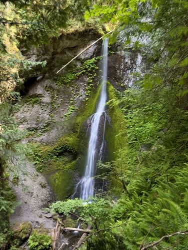 Picture 21 of Marymere Falls Trail