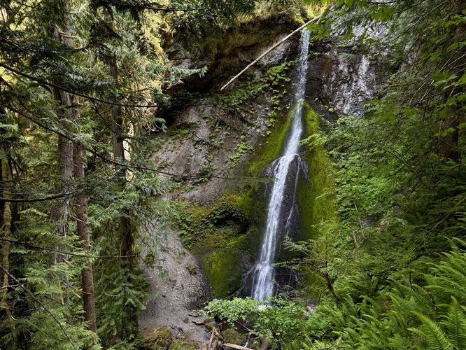 Picture 22 of Marymere Falls Trail